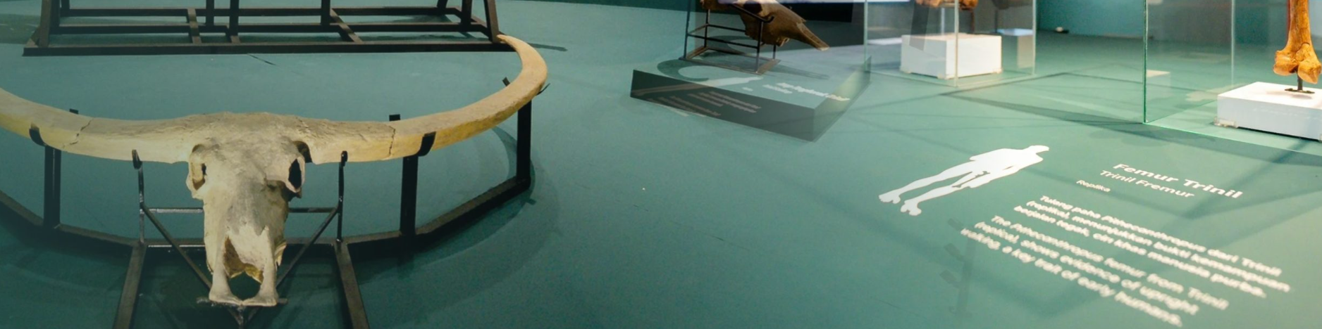 MUSEUM Buntu Kalando>